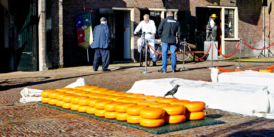 009 | 2024 | Alkmaar | Kaasmarkt | © carsten riede fotografie