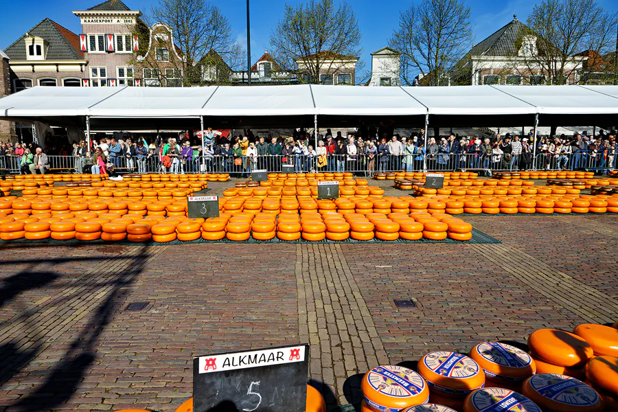 013 | 2024 | Alkmaar | Kaasmarkt | © carsten riede fotografie