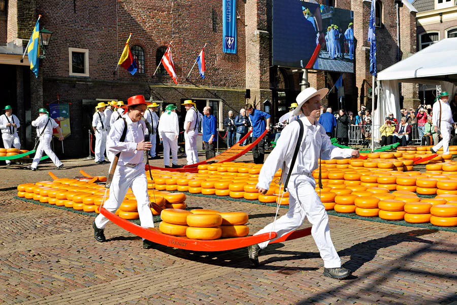 022 | 2024 | Alkmaar | Kaasmarkt | © carsten riede fotografie