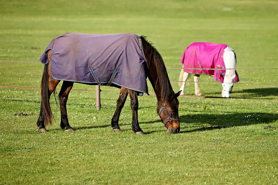 046 | 2024 | Wijk aan Zee | © carsten riede fotografie