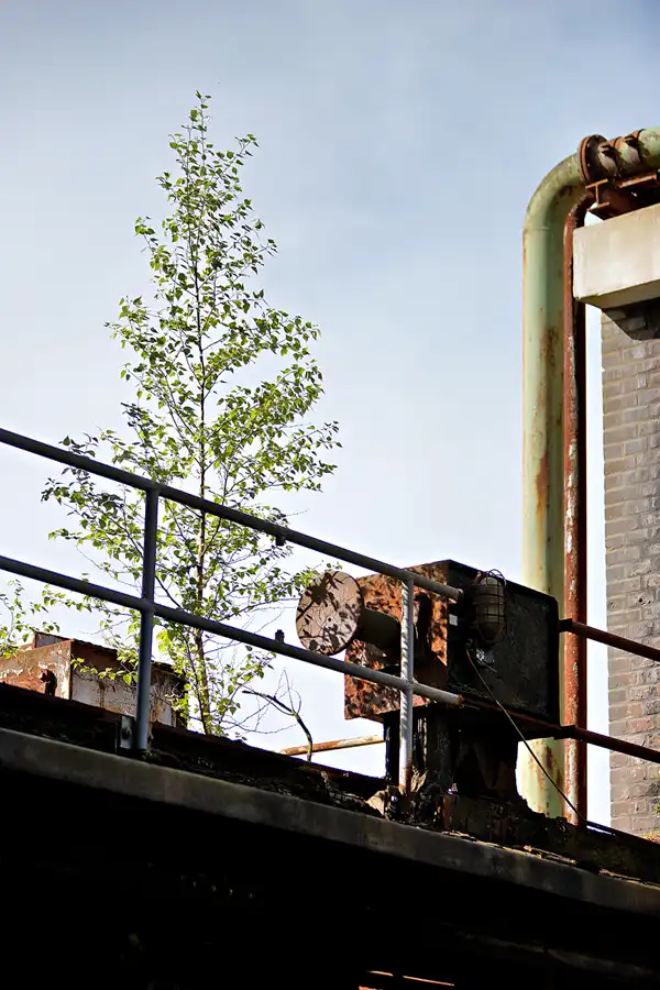 028 | 2024 | Essen | Zeche Zollverein | © carsten riede fotografie