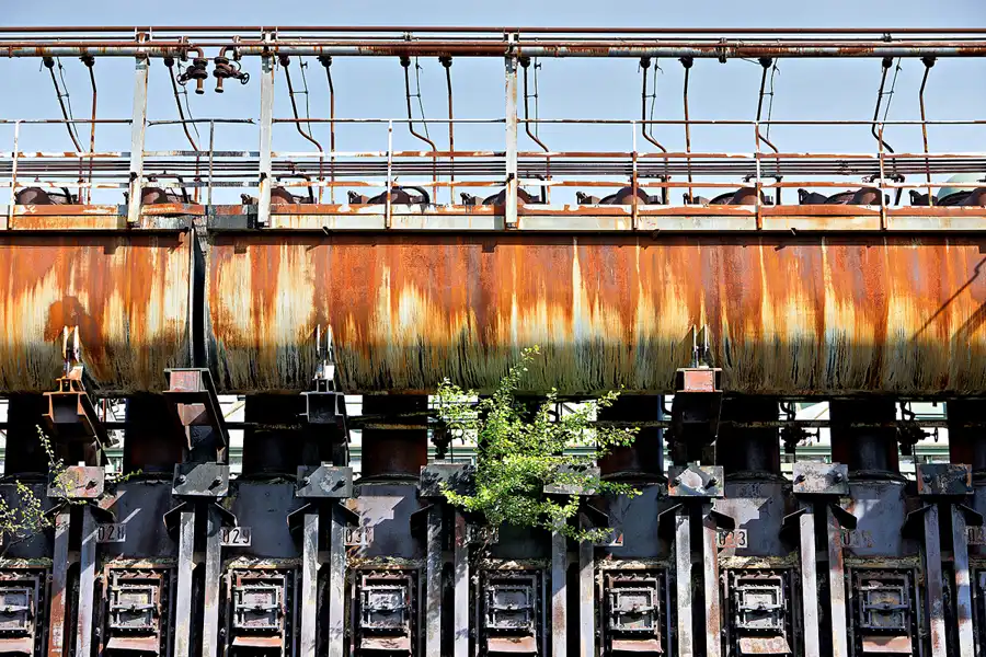 032 | 2024 | Essen | Zeche Zollverein | © carsten riede fotografie