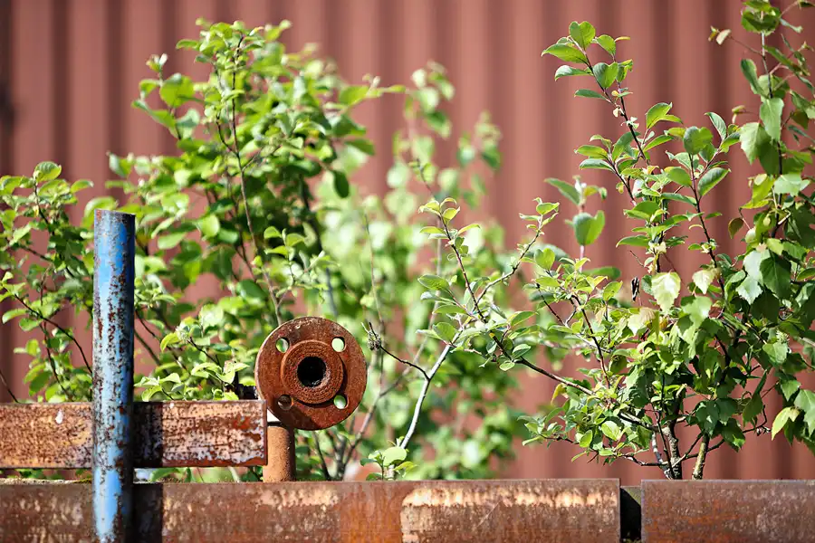 042 | 2024 | Essen | Zeche Zollverein | © carsten riede fotografie