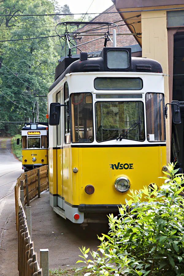 005 | 2024 | Bad Schandau | Kirnitzschtalbahn | © carsten riede fotografie