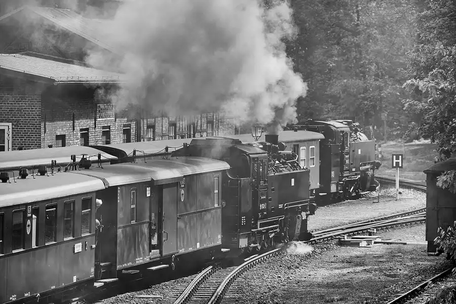 047 | 2024 | Bertsdorf | Zittauer Schmalspurbahn – Bahnhof Bertsdorf | © carsten riede fotografie