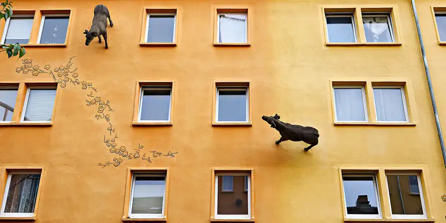 011 | 2024 | Zittau | Pop-Art-Viertel – Mandauer Glanz | © carsten riede fotografie