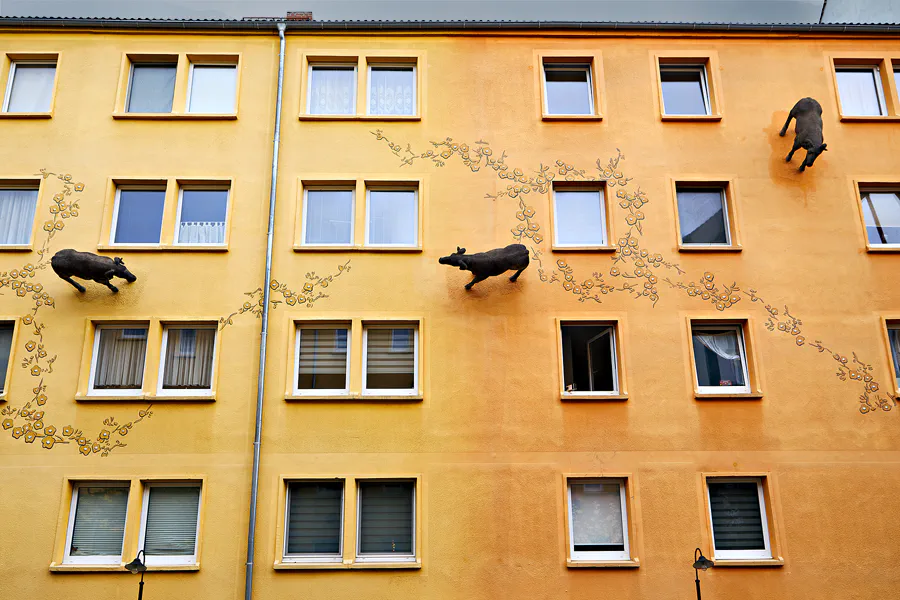 010 | 2024 | Zittau | Pop-Art-Viertel – Mandauer Glanz | © carsten riede fotografie