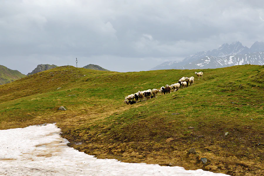 058 | 2024 | Grossglockner Hochalpenstrasse | © carsten riede fotografie