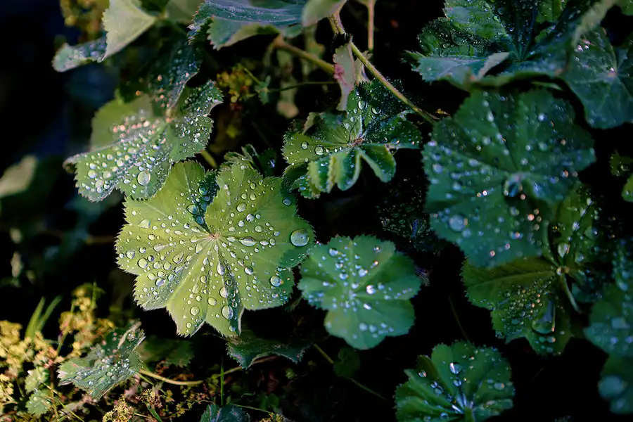 067 | 2024 | Salzburg | Schloss Hellbrunn | © carsten riede fotografie
