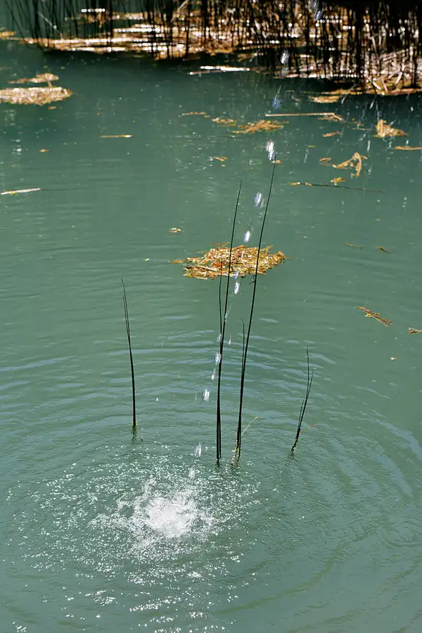 078 | 2024 | Salzburg | Schloss Hellbrunn | © carsten riede fotografie