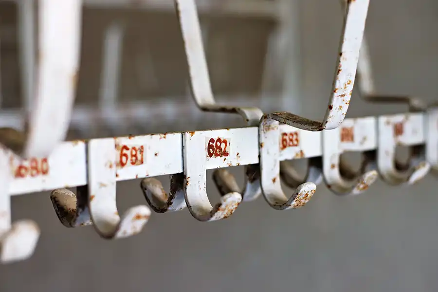 047 | 2024 | Grünhainichen OT Borstendorf | Kulturhaus Neues Leben – Betriebskulturhaus VEB Papierfabriken Grünhainichen | © carsten riede fotografie