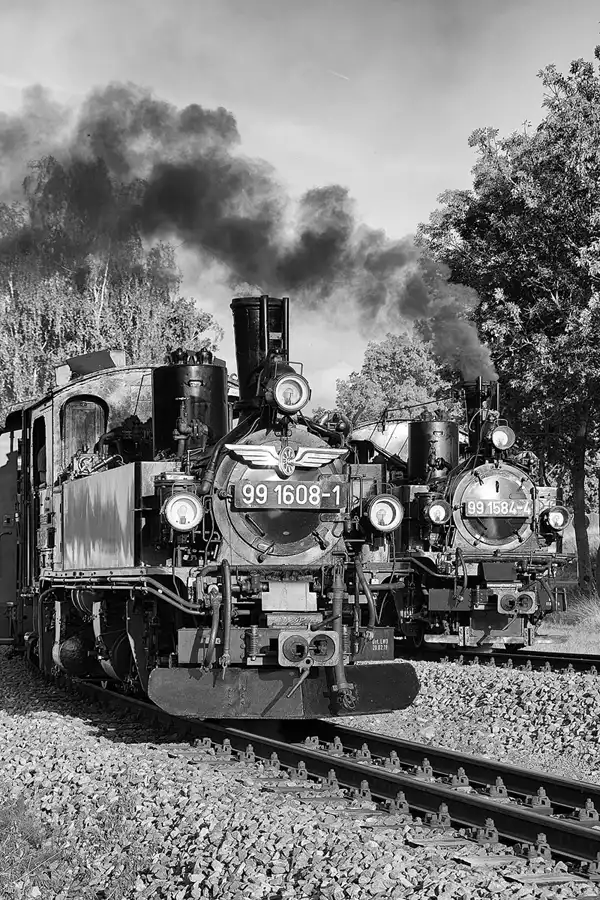 043 | 2024 | Mügeln OT Nebitzschen | Döllnitzbahn | © carsten riede fotografie