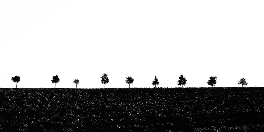 069 | 2024 | Naundorf | © carsten riede fotografie