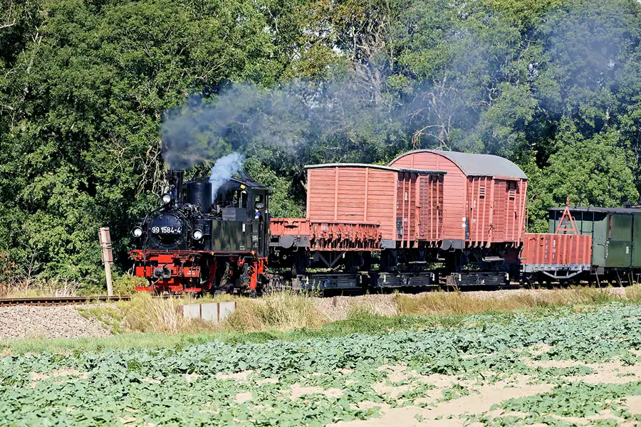 081 | 2024 | Naundorf | Birnenweg – Döllnitzbahn | © carsten riede fotografie