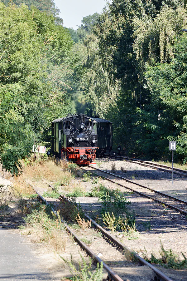 009 | 2024 | Mügeln OT Kemmlitz | Bahnhof – Döllnitzbahn | © carsten riede fotografie