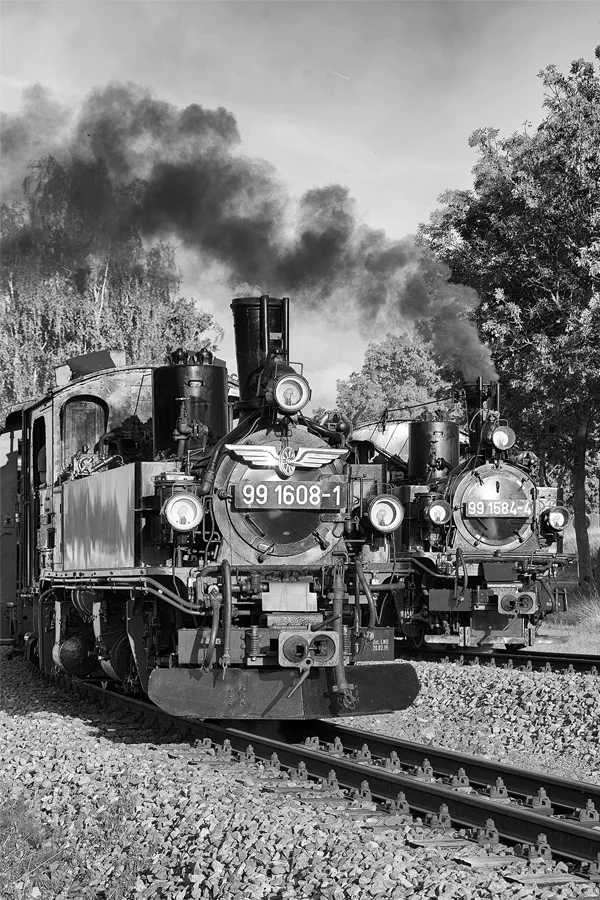 043 | 2024 | Mügeln OT Nebitzschen | Döllnitzbahn | © carsten riede fotografie