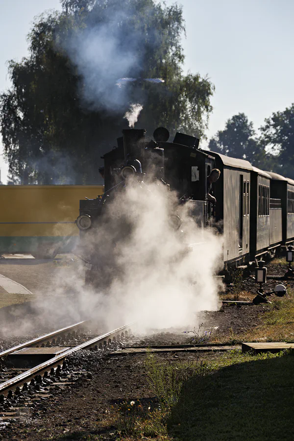 077 | 2024 | Mügeln | Bahnhof – Döllnitzbahn | © carsten riede fotografie