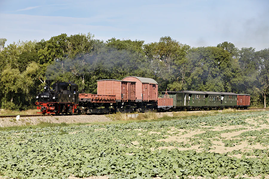 082 | 2024 | Naundorf | Birnenweg – Döllnitzbahn | © carsten riede fotografie