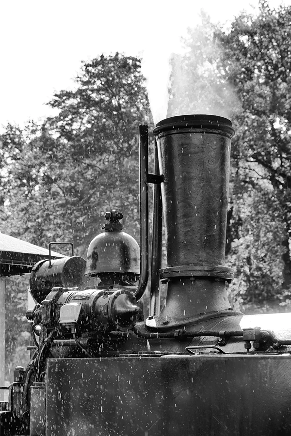 097 | 2024 | Oschatz | Bahnhof – Döllnitzbahn | © carsten riede fotografie