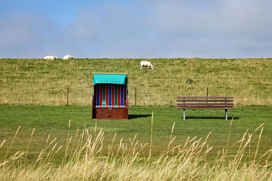 019 | 2024 | Pellworm | © carsten riede fotografie