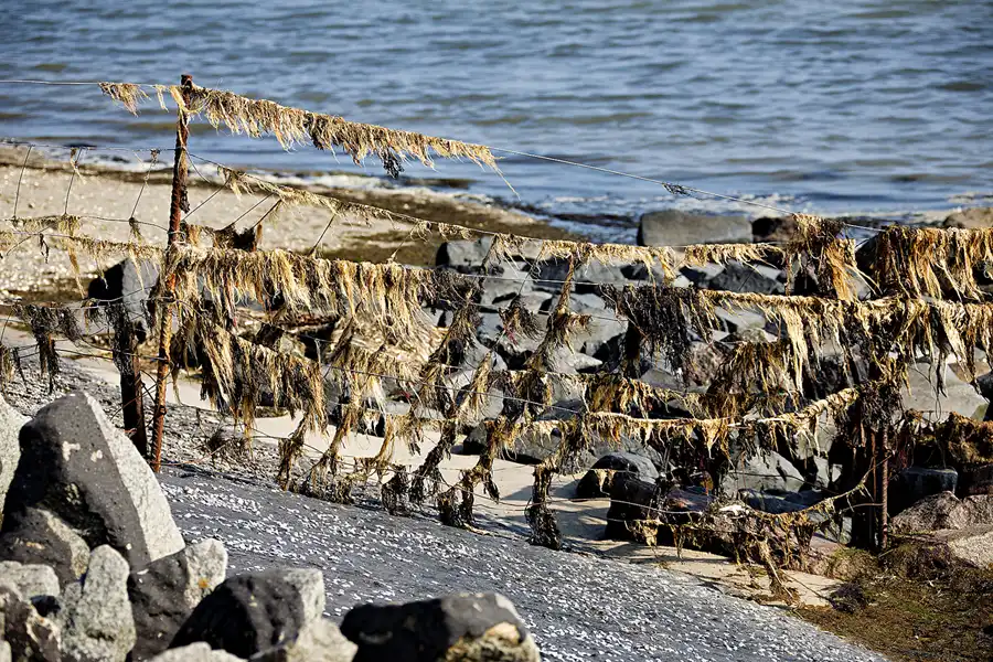 021 | 2024 | Pellworm | © carsten riede fotografie