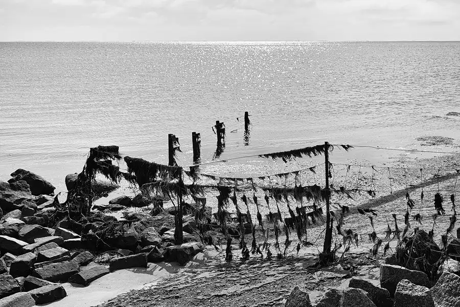 022 | 2024 | Pellworm | © carsten riede fotografie