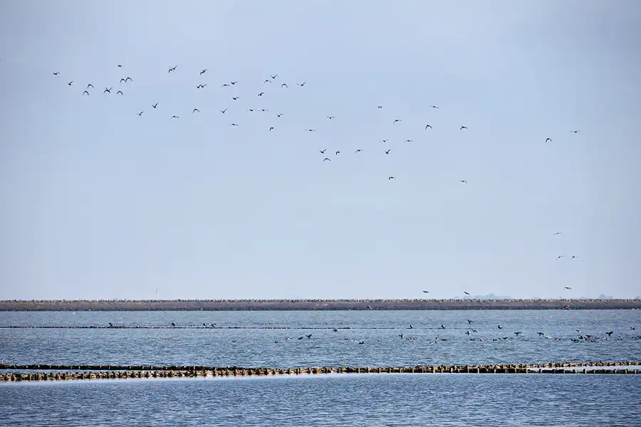 027 | 2024 | Pellworm | © carsten riede fotografie