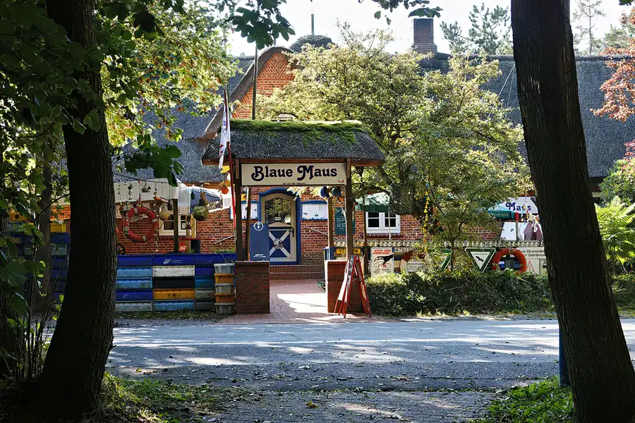 009 | 2024 | Amrum | © carsten riede fotografie