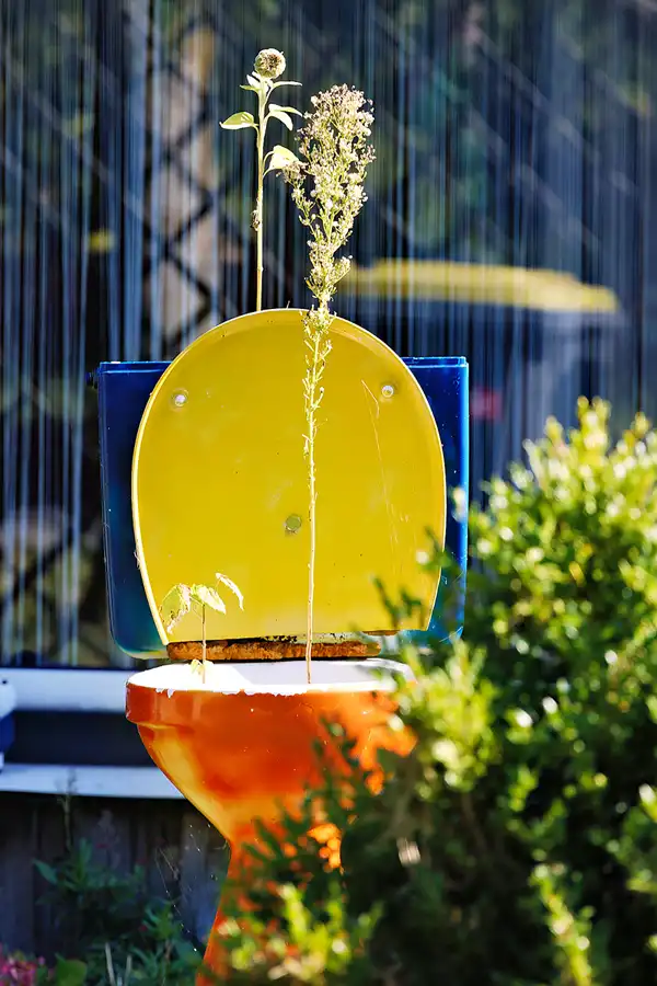 013 | 2024 | Amrum | © carsten riede fotografie