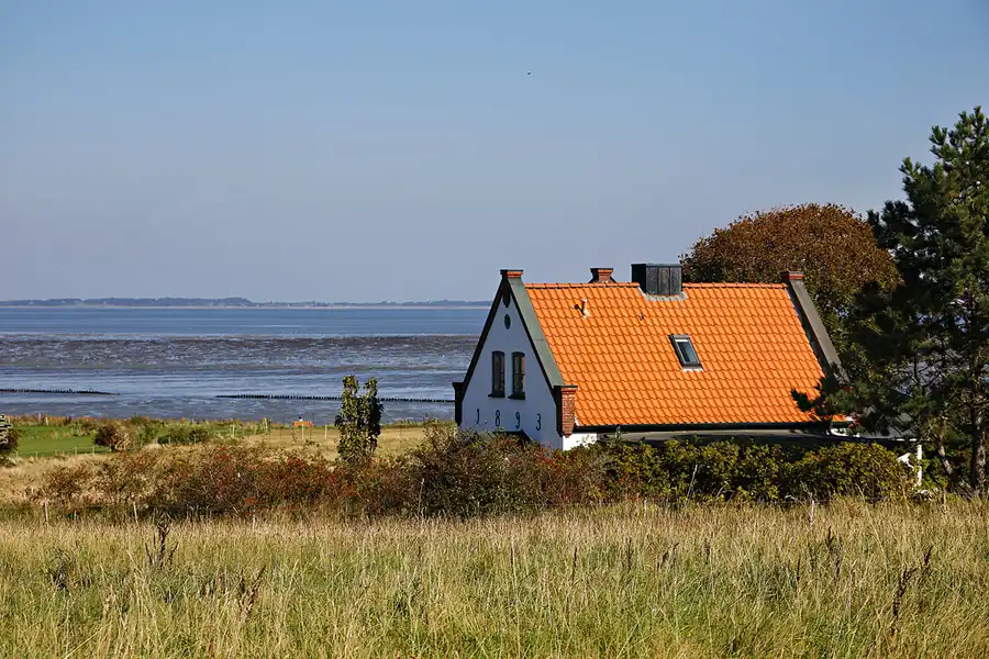 023 | 2024 | Amrum | © carsten riede fotografie