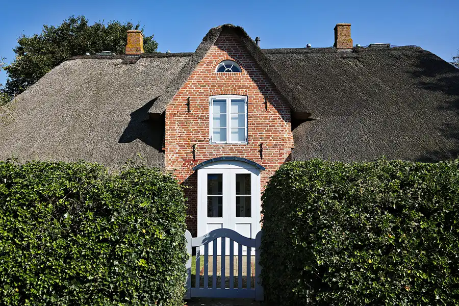 033 | 2024 | Amrum | © carsten riede fotografie