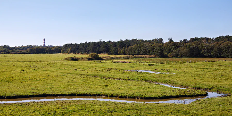 039 | 2024 | Amrum | © carsten riede fotografie