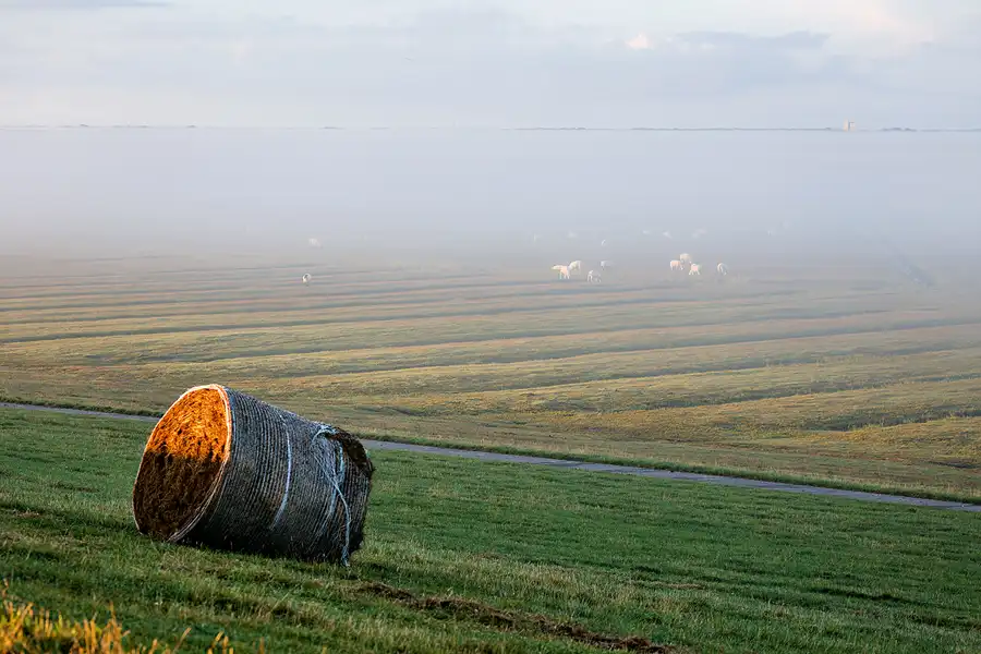009 | 2024 | Westerhever | © carsten riede fotografie