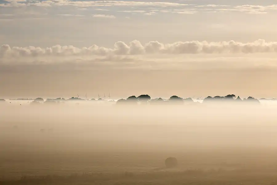 021 | 2024 | Westerhever | © carsten riede fotografie