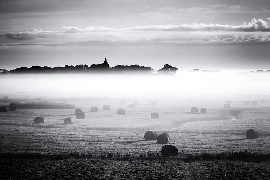 026 | 2024 | Westerhever | © carsten riede fotografie