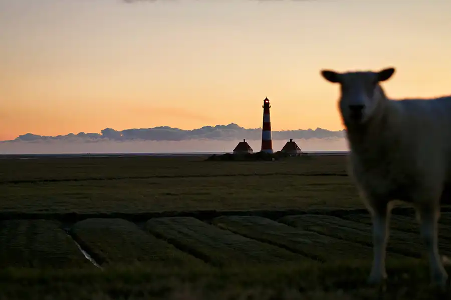 038 | 2024 | Westerhever | Leuchtturm Westerheversand | © carsten riede fotografie