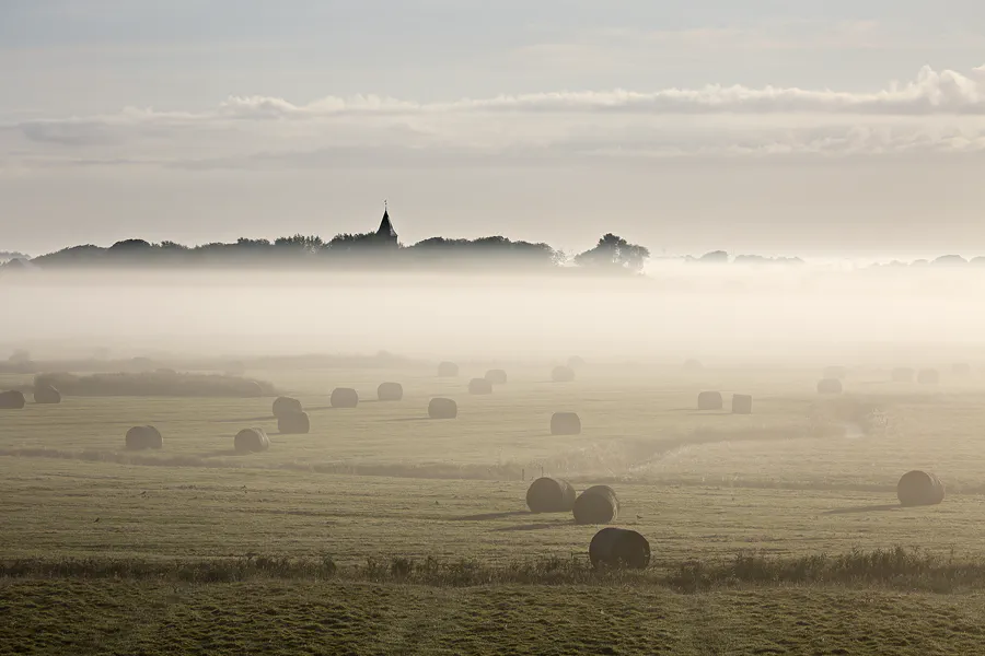 025 | 2024 | Westerhever | © carsten riede fotografie