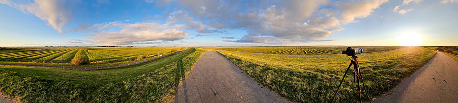 029 | 2024 | Westerhever | © carsten riede fotografie