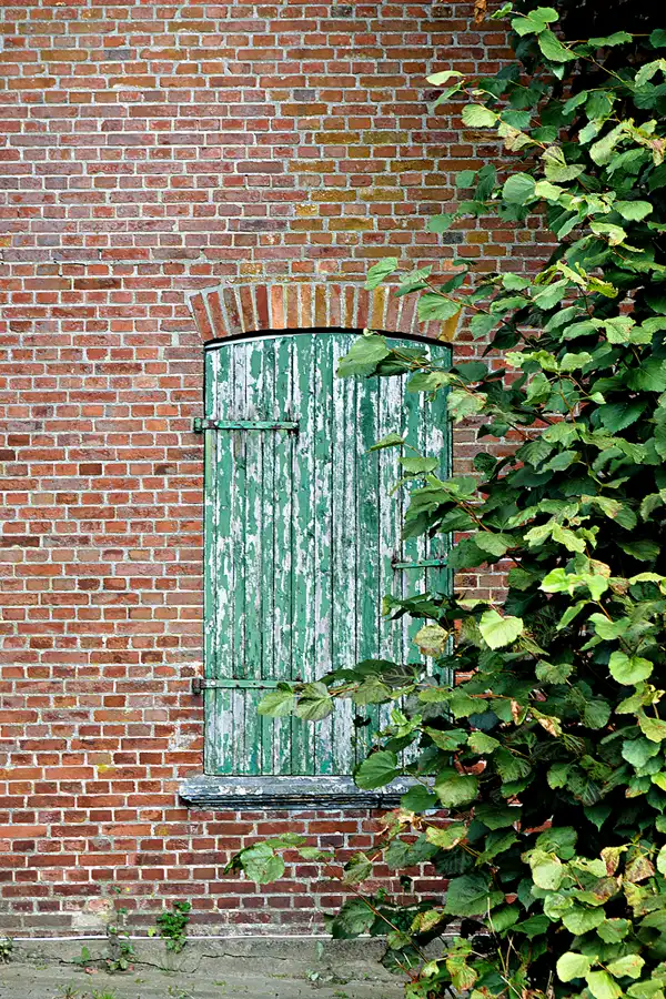 036 | 2024 | Hemmingstedt | Windmühle Margaretha | © carsten riede fotografie