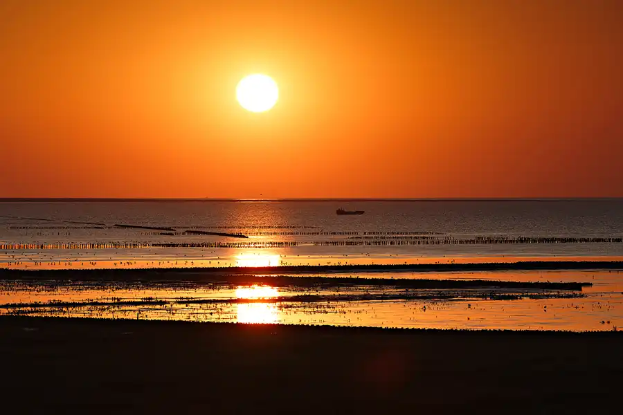 044 | 2024 | Norderfriedrichskoog | © carsten riede fotografie
