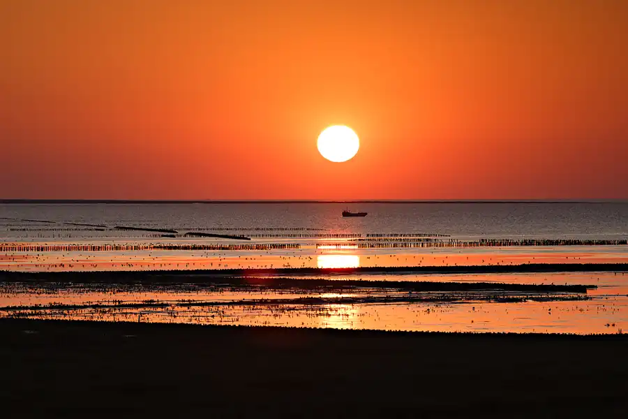 045 | 2024 | Norderfriedrichskoog | © carsten riede fotografie