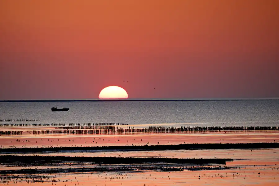 048 | 2024 | Norderfriedrichskoog | © carsten riede fotografie