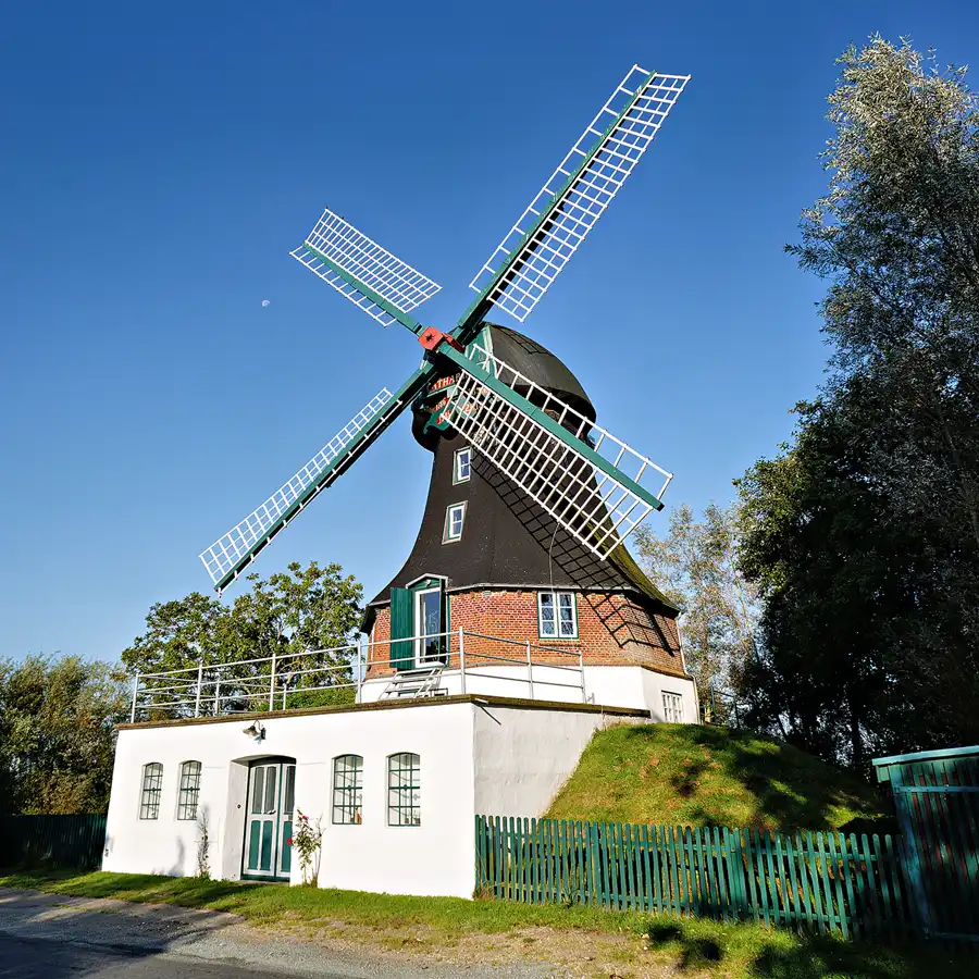 063 | 2024 | Oldenswort | Windmühle Catharina | © carsten riede fotografie