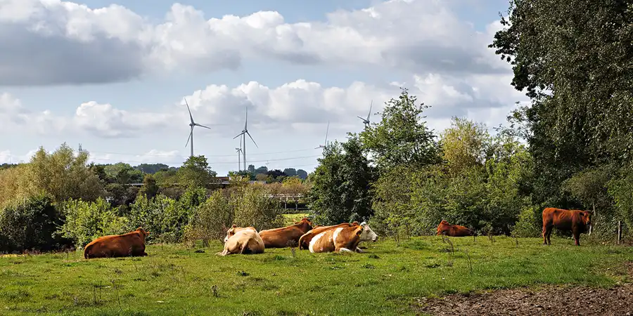 064 | 2024 | Sankt Michaelisdonn | © carsten riede fotografie