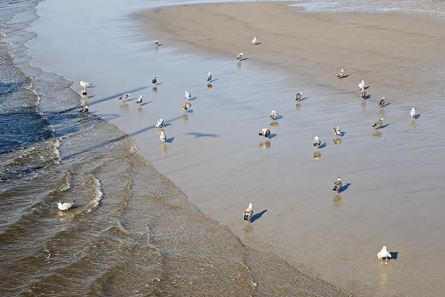 073 | 2024 | Sankt Peter-Ording | Strandparkplatz Ording Nord | © carsten riede fotografie