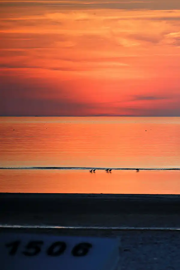 104 | 2024 | Sankt Peter-Ording | Strandparkplatz Ording Nord  | © carsten riede fotografie