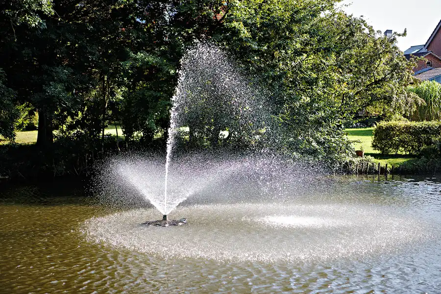 115 | 2024 | Tönning | © carsten riede fotografie