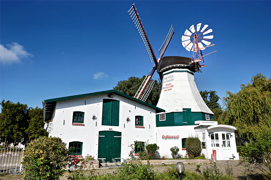 121 | 2024 | Westerdeichstrich | Der Mühlenhof | © carsten riede fotografie