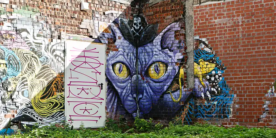 024 | 2024 | Berlin | Field Station Teufelsberg | © carsten riede fotografie