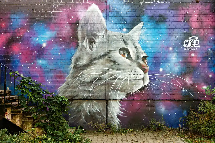 110 | 2024 | Berlin | Field Station Teufelsberg | © carsten riede fotografie